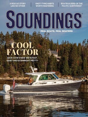 cover image of Soundings